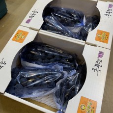 선물용 왕거봉 4송이 4kg 1박스 