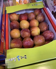 와촌 정상 자두 1.0kg 맛보장 특사이즈
