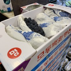 하우스 상주포도 3kg 1박스
