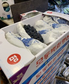 하우스 상주포도 3kg 1박스
