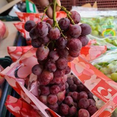 호주산 캔디하트포도 1.0kg