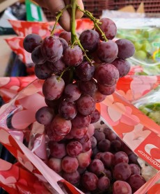 호주산 캔디하트포도 1.0kg