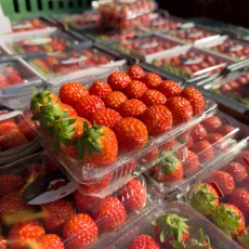 설향 딸기 3x5 한팩