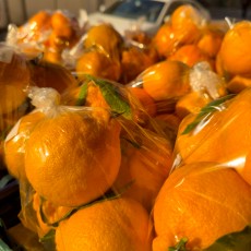 제주 맛보장 한라봉 맛있음 !! 8개