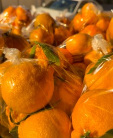 제주 써니트 한라봉 맛있음 !! 7~8개