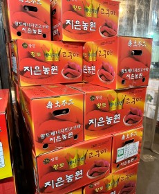 베니지민 고구마 1kg 긴중
