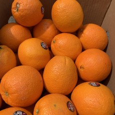 미국산 고당도 오렌지 7~8개 알 커짐!! 퓨어스펙블랙라벨