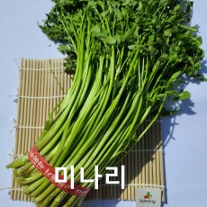 순천미나리 1단 생으로드실수있습니다. 400g이상