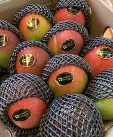 수입 애플망고 3개 깔도좋고알도크고 바로드셔도됩니다.