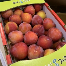 왕자두 후무사 43~52개 5kg 1박스 