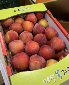 와촌 정상 자두 1.0kg 맛보장 특사이즈