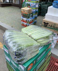 양주 오이지 50개