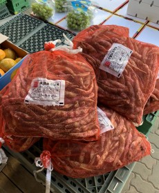 호랑이콩 국내산 2kg