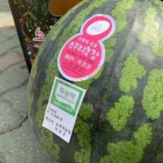 하우스수박 6kg 입니다.