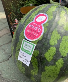 하우스수박 6kg 입니다.