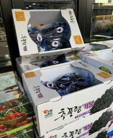 국산 추풍령 거봉 2kg 3송이