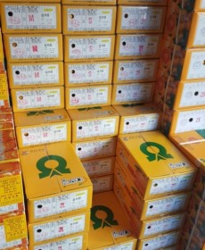 ★맛보장★다우렁감귤 1박스 S 사이즈업