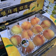 천중도 햇사레 복숭아 11~13수 4kg 오늘의행사