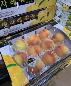 천중도 햇사레 복숭아 11~13수 4kg 오늘의행사