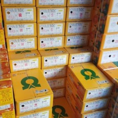 ★맛보장★다우렁감귤 1박스 2S 행사중