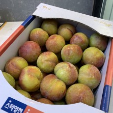 자두 주희 세콤달콤 9~10개 1.2kg