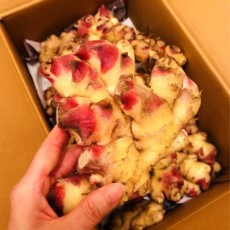 국내산 세척 생강 900g