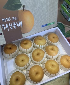 선물용 신고배 7.5kg 12개 ★선물용★포장가능