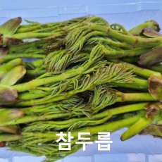 행사중 참두릅 1팩 230g