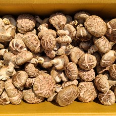 화곡성 “백화” 장흥가을표고 1kg