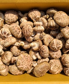 화곡성 “백화” 장흥가을표고 1kg