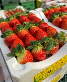 월산담양 설향딸기 1kg 