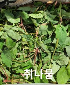 광양 산취나물 (A급)