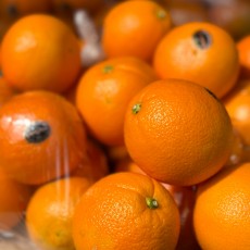 미국산 고당도 오렌지 7~8개 알 커짐!! 퓨어스펙블랙라벨