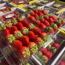 설향 딸기 4x5 한팩