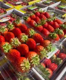 설향 딸기 4x5 한팩