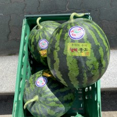 하우스 우곡수박 3.5kg 반통 맛보장 !!