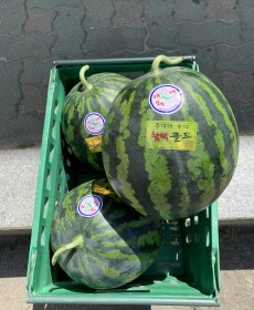 하우스 우곡수박 3.5kg 반통