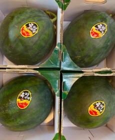 하우스 흑미수박 6~7kg 맛보장