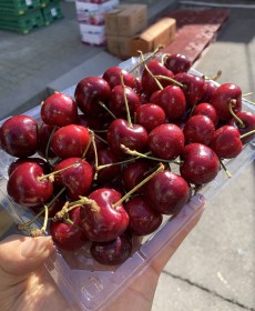미국 체리  굵음!!