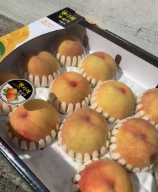 ★인스타좋아요행사★햇사레 황도 복숭아 11개 2.5kg 1박스