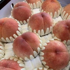 부드러운 그린황도복숭아 5알 1팩 