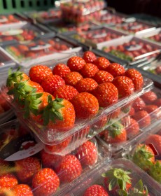 설향 딸기 4x5 한팩