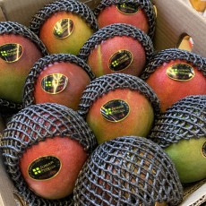 수입 애플망고 3개 깔도좋고 바로드셔도됩니다.