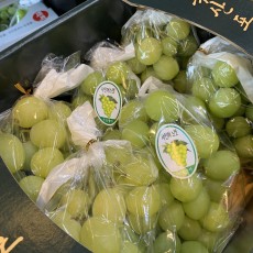 옥산 샤인머스켓 6수