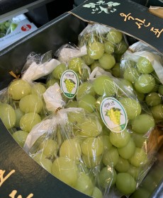옥산 샤인머스켓 6수
