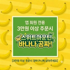 ★3만원 이상 주문시 담아주세요★ 스위트 마운틴 바나나