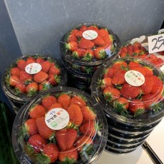 금실 딸기 2팩 1kg 오늘의행사 