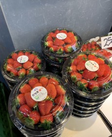 산청 왕왕 딸기 1kg 2팩 행사상품