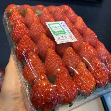 마지막 장희딸기 5x6사이즈 700~800g