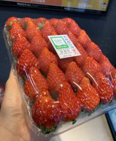 마지막 장희딸기 5x6사이즈 700~800g